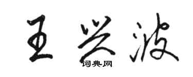 骆恒光王兴波行书个性签名怎么写
