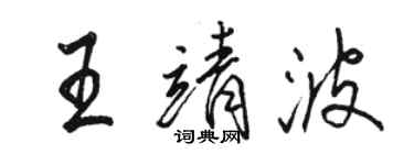 骆恒光王靖波行书个性签名怎么写