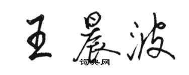 骆恒光王晨波行书个性签名怎么写