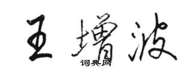 骆恒光王增波行书个性签名怎么写