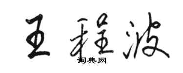 骆恒光王程波行书个性签名怎么写