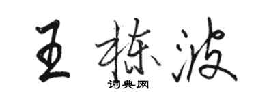 骆恒光王栋波行书个性签名怎么写