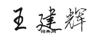 骆恒光王建辉行书个性签名怎么写