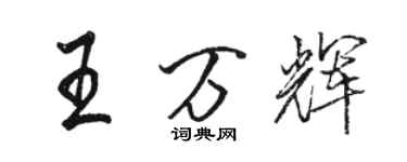 骆恒光王万辉行书个性签名怎么写