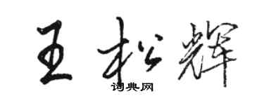 骆恒光王松辉行书个性签名怎么写