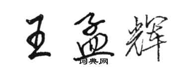 骆恒光王孟辉行书个性签名怎么写