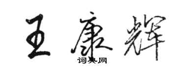 骆恒光王康辉行书个性签名怎么写