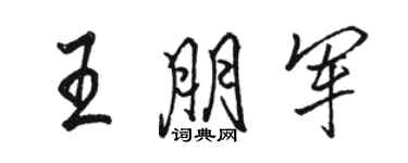 骆恒光王朋军行书个性签名怎么写