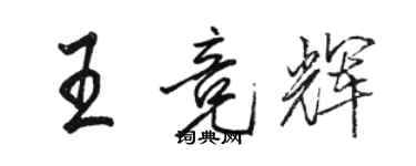 骆恒光王竞辉行书个性签名怎么写