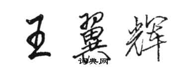骆恒光王翼辉行书个性签名怎么写