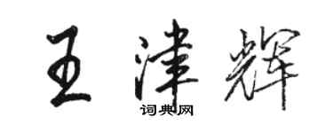 骆恒光王津辉行书个性签名怎么写