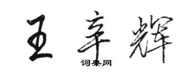 骆恒光王辛辉行书个性签名怎么写