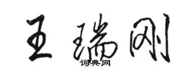 骆恒光王瑞刚行书个性签名怎么写