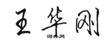 骆恒光王华刚行书个性签名怎么写