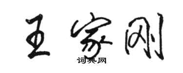 骆恒光王家刚行书个性签名怎么写
