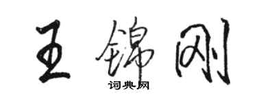 骆恒光王锦刚行书个性签名怎么写