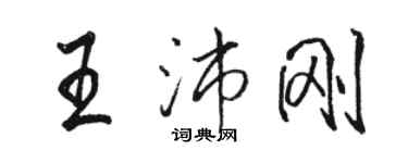 骆恒光王沛刚行书个性签名怎么写