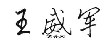 骆恒光王威军行书个性签名怎么写