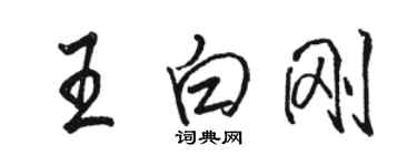 骆恒光王白刚行书个性签名怎么写