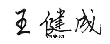 骆恒光王健成行书个性签名怎么写