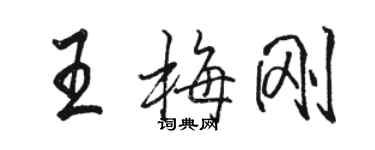 骆恒光王梅刚行书个性签名怎么写
