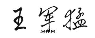 骆恒光王军猛行书个性签名怎么写