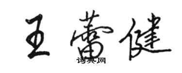 骆恒光王蕾健行书个性签名怎么写