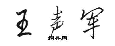骆恒光王声军行书个性签名怎么写
