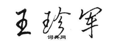 骆恒光王珍军行书个性签名怎么写