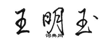 骆恒光王明玉行书个性签名怎么写