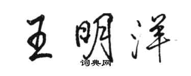 骆恒光王明洋行书个性签名怎么写