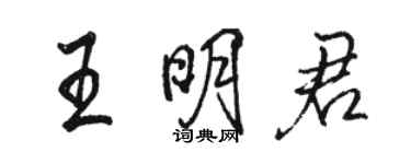 骆恒光王明君行书个性签名怎么写