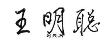 骆恒光王明聪行书个性签名怎么写