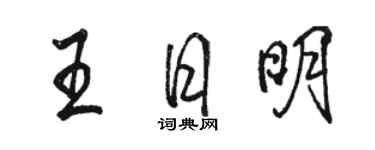 骆恒光王日明行书个性签名怎么写