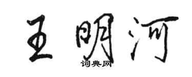 骆恒光王明河行书个性签名怎么写