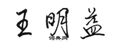 骆恒光王明益行书个性签名怎么写