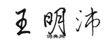 骆恒光王明沛行书个性签名怎么写