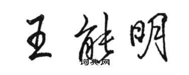 骆恒光王能明行书个性签名怎么写