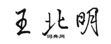 骆恒光王北明行书个性签名怎么写