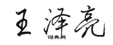 骆恒光王泽亮行书个性签名怎么写