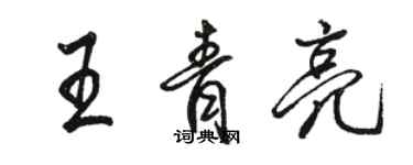 骆恒光王青亮行书个性签名怎么写