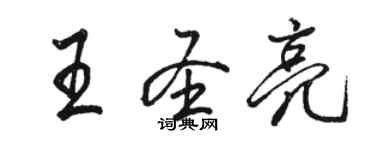 骆恒光王圣亮行书个性签名怎么写