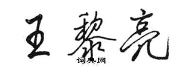 骆恒光王黎亮行书个性签名怎么写