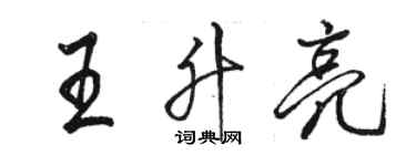 骆恒光王升亮行书个性签名怎么写
