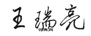 骆恒光王瑞亮行书个性签名怎么写