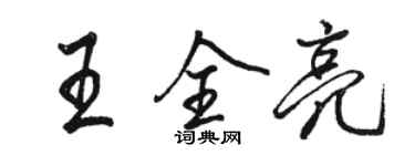 骆恒光王全亮行书个性签名怎么写