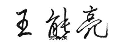 骆恒光王能亮行书个性签名怎么写