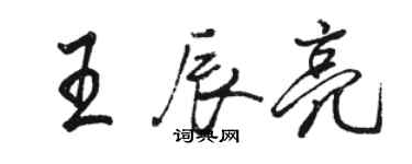 骆恒光王辰亮行书个性签名怎么写