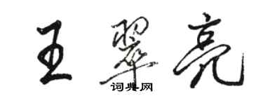 骆恒光王翠亮行书个性签名怎么写