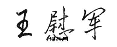 骆恒光王慰军行书个性签名怎么写